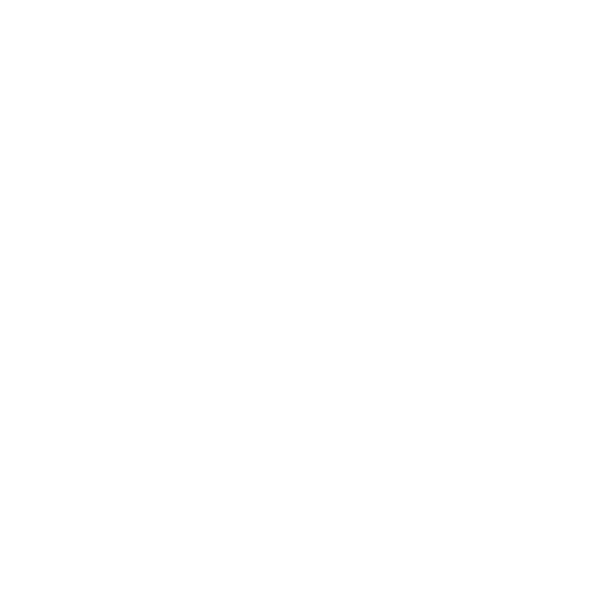 Boots Logo (White)