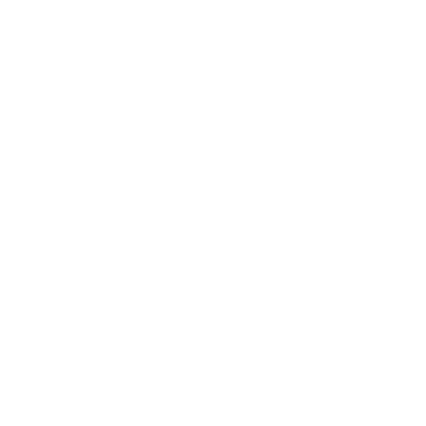 Evri Logo (White)
