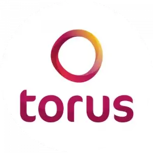 Torus Logo